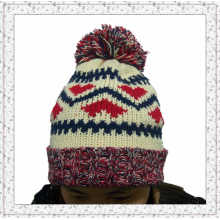 Weave Gestrickte Beanie Hut mit Fleece Innen Winter Hut für Mädchen (1-3469)